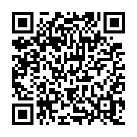 QR code for 993WEL