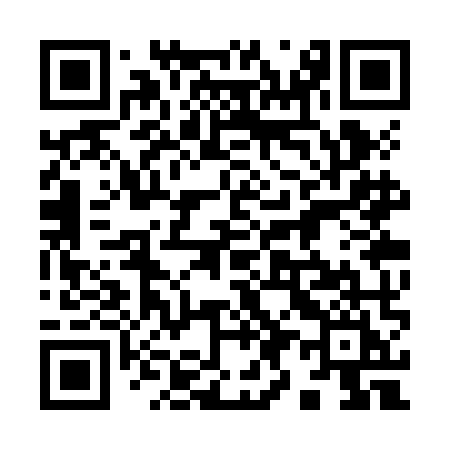 QR code for 993ZMI