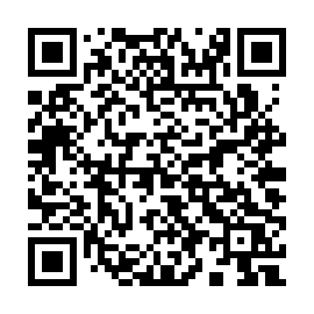 QR code for 994SPS