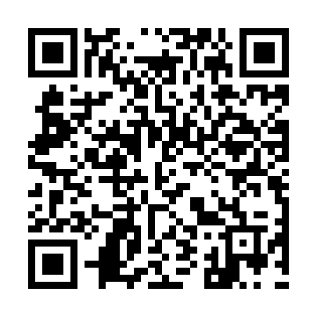 QR code for 995IOV