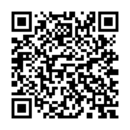 QR code for 995ZHI
