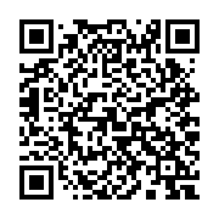 QR code for 996BUG
