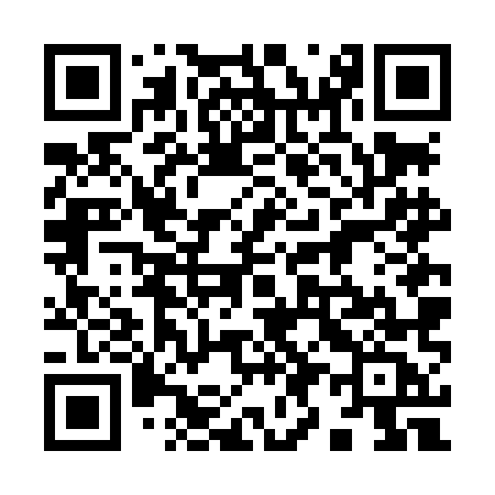 QR code for 996LMC