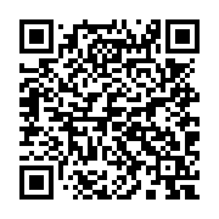 QR code for 996NYS