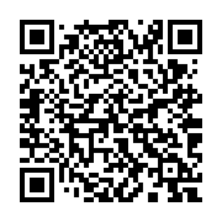 QR code for 996VID