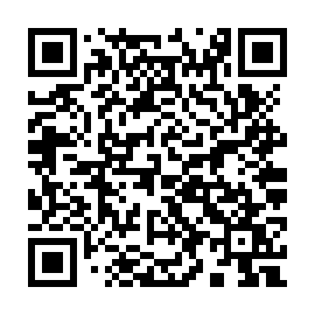 QR code for 996ZWW