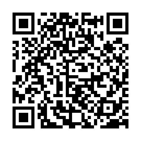 QR code for AAC538