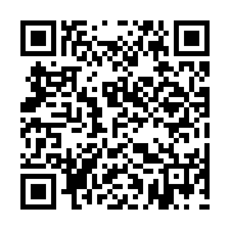 QR code for AAP256