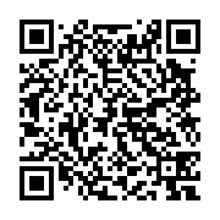 QR code for AAS038