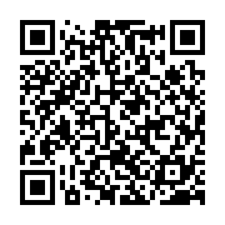 QR code for ACE335
