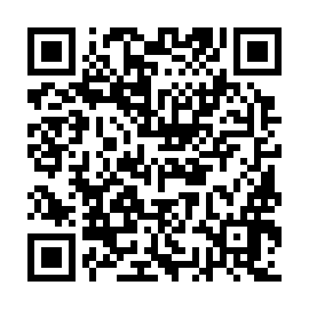 QR code for ACE396