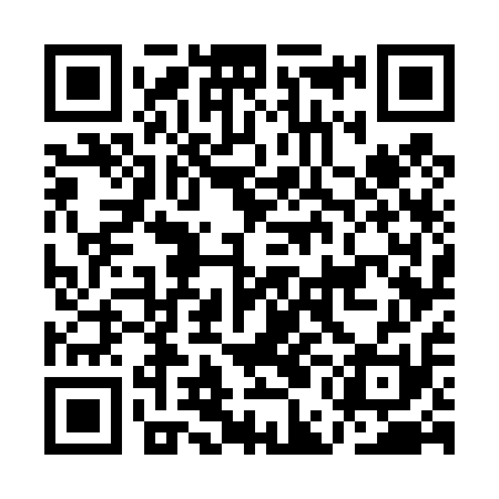 QR code for AEG411