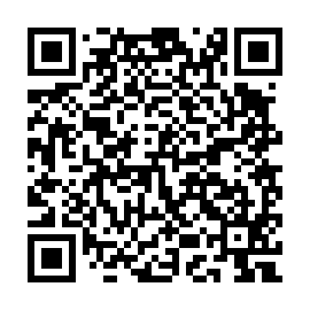 QR code for AER495