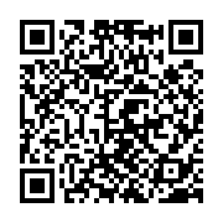 QR code for AIG538
