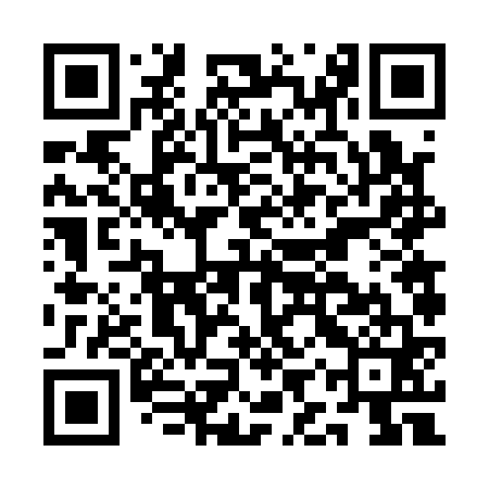 QR code for AIV161