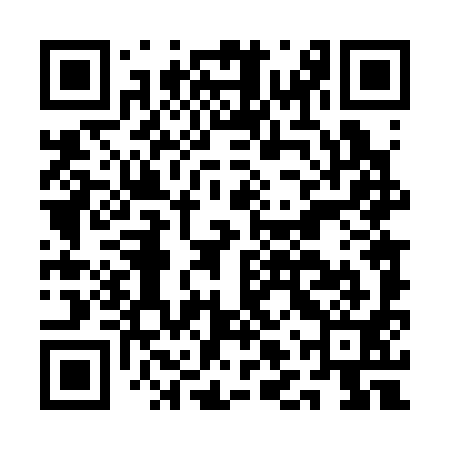 QR code for ALT391