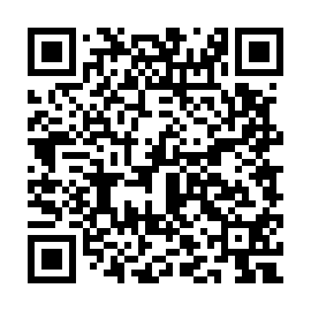 QR code for ALT510
