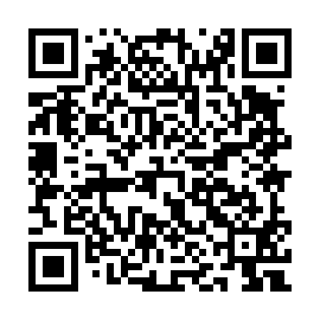 QR code for ANI491