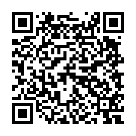 QR code for ANT411