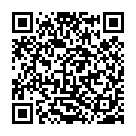 QR code for APG491