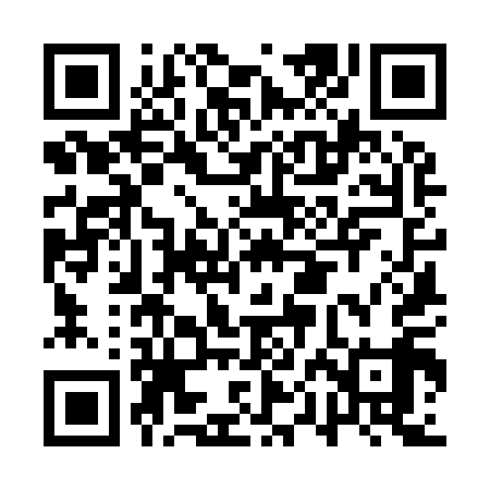 QR code for APK919