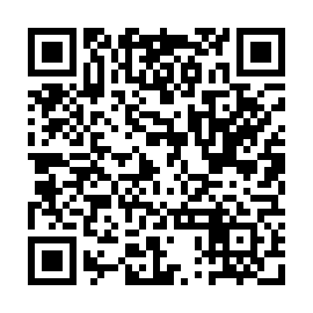 QR code for APL161
