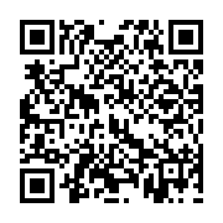 QR code for APM292