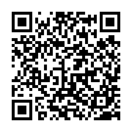 QR code for APN687
