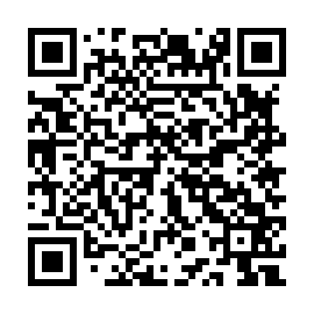 QR code for APU863