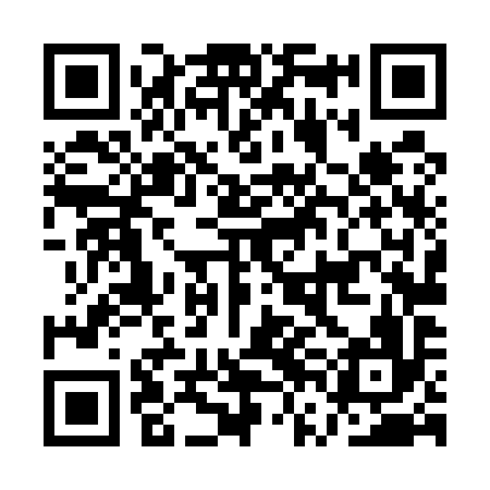 QR code for AVL596