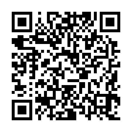 QR code for AXI383
