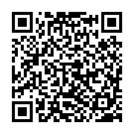 QR code for AXJ295