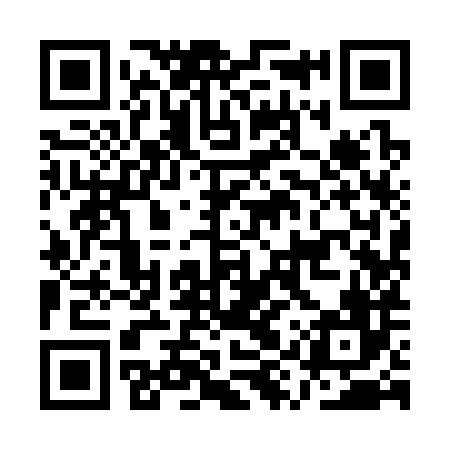 QR code for AYY386