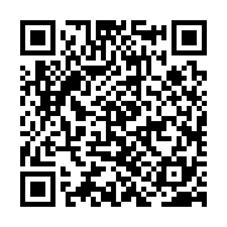 QR code for BAB335