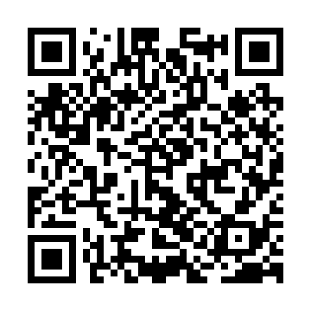 QR code for BAG238