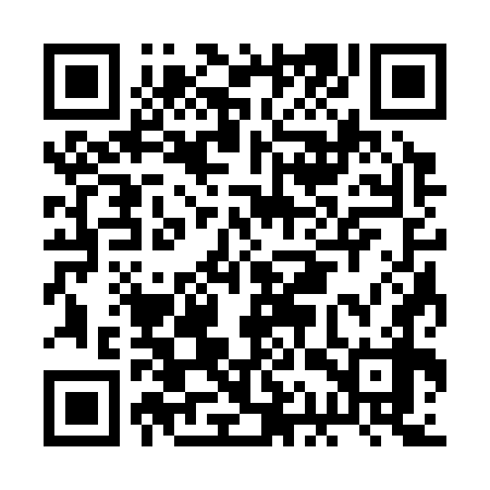 QR code for BAS378