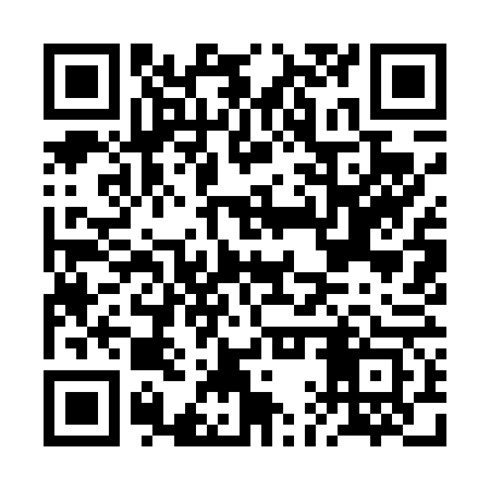 QR code for BAY463