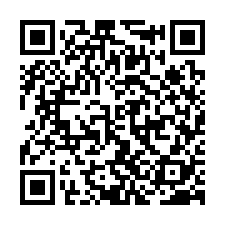 QR code for BCG328