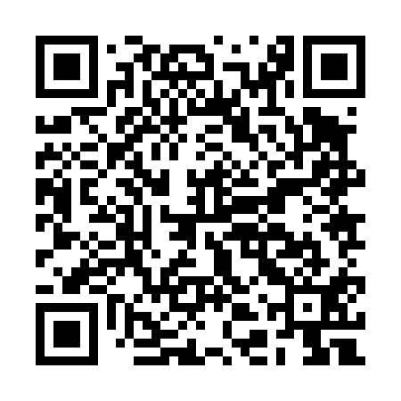 QR code for BDZ411
