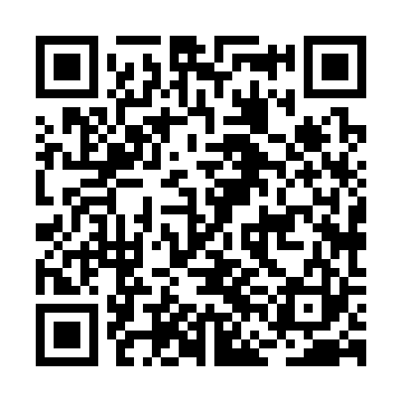 QR code for BFH323