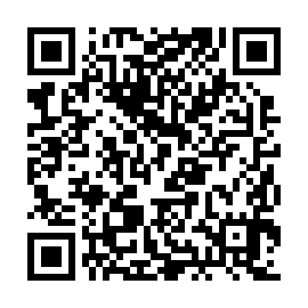 QR code for BIB295
