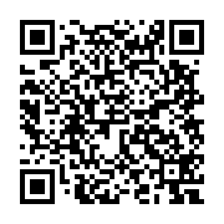 QR code for BIR519