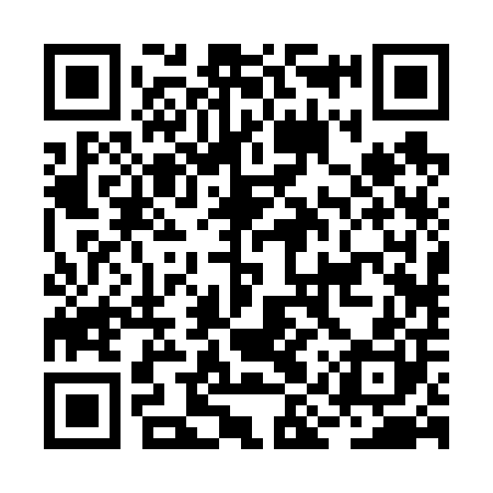 QR code for BIR600