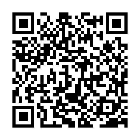 QR code for BIZ369