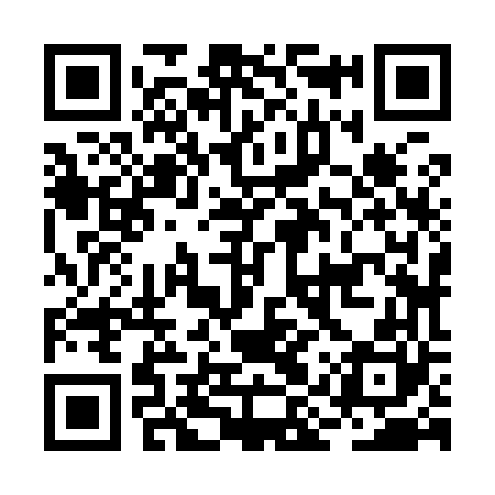 QR code for BIZ960