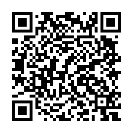 QR code for BLI413