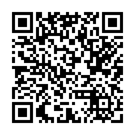 QR code for BLK384