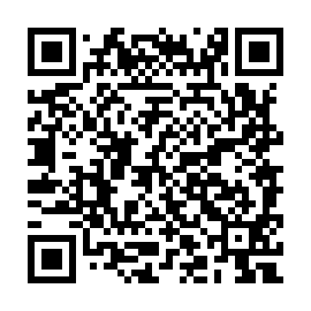QR code for BLN991