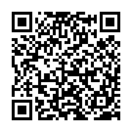 QR code for BOR454