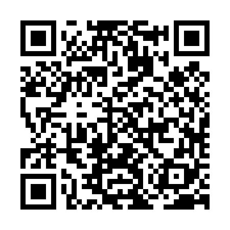 QR code for BOR468